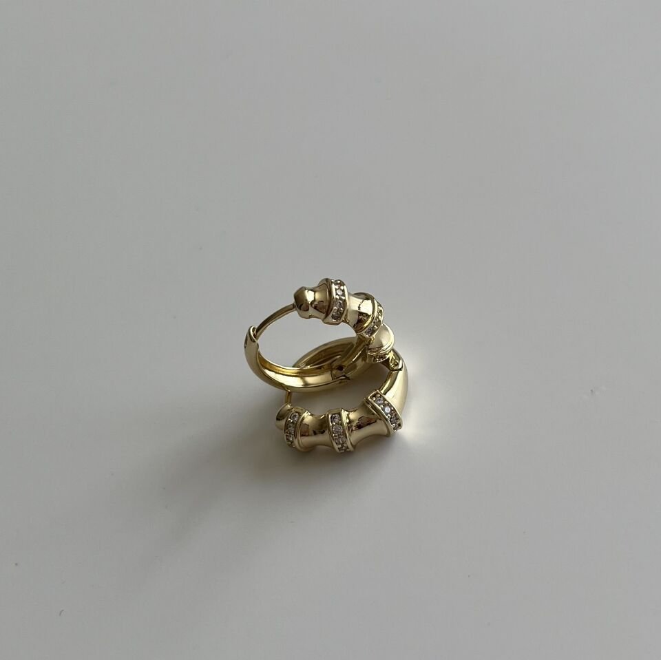 Eklem Model Taşlı Küpe